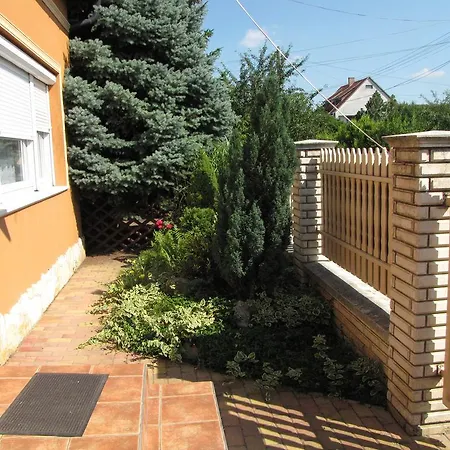 Oázis *